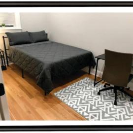 Homestay in Boston Fields Corner Area