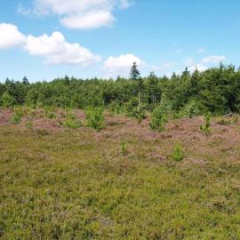 C11213-Hemmet-Alpehuen-4, hotell sihtkohas Hemmet