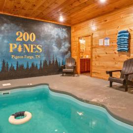 200 Pines- Scenic Log Retreat, Hot Tub, Indoor Pool & Dogs OK, מלון בסביירוויל