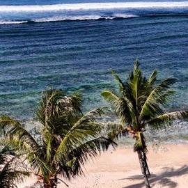 Bamboo Surf Beach，San Isidro的飯店