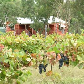 Fergies Hill Spa Cottage @ Granite Ridge Wines – hotel w mieście Ballandean