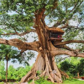 Wassado Cultural Lodging, khách sạn ở Cap Skirring