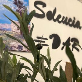 Seleucia DaR Umm Qais, hotelli kohteessa Um Qeis