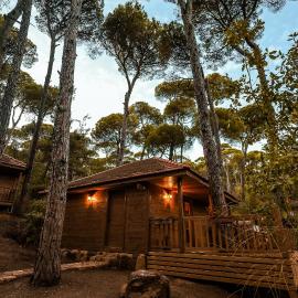 La Maison de la Forêt: Jezzine şehrinde bir otel
