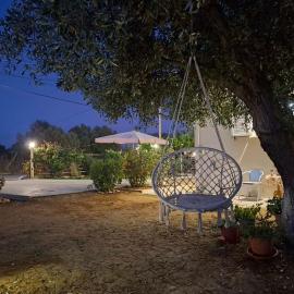 The House In The Olive Grove