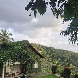 Hillside home with forest views near Wayanad