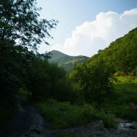 Anima Resort Aghveran - Forest Retreat, hotel in Agveran