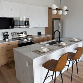 Spacious 2BR Apartment Steps from UIC Rush Stroger Hospital and Restaurant Row