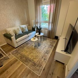 Les 3 Lys Bel appartement près de Bale