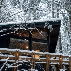 Mid-century Cabin Hideaway - Hot Tub & Fire Pit