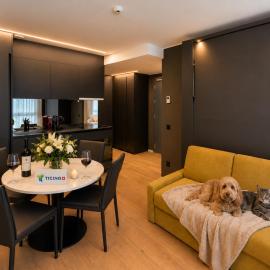 SELF CHECK IN Arbed Living Apartments Arbedo Castione