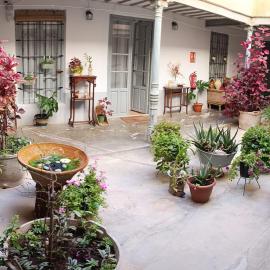 Vivienda rural el gobernador