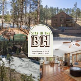 Beaver Lake Pond & Pines Cabin, Hotel in Custer