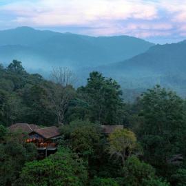Vythiri Mist Resort