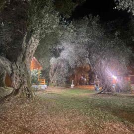 La Oliva, ξενοδοχείο σε Masline