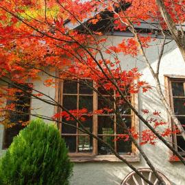 Olinda Magnolia 2 - 2 bedrooms - by Ready Set Stay