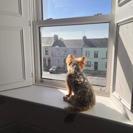Turk, hotel v mestu Kilrush