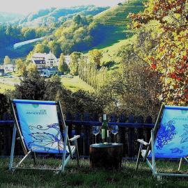 "Ferienwohnungen Karin am Seggauberg" - Panoramalage nahe dem Stadtzentrum Leibnitz, hotel a Leibnitz