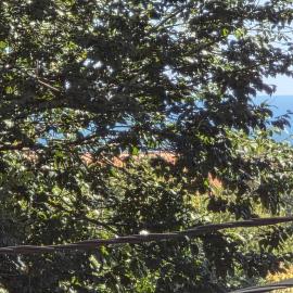 Apartament Gabriela
