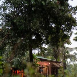 Sinharaja Green Mountain Retreat