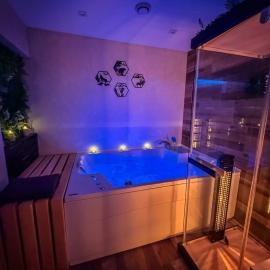 Vila Bašić Vlašić MEDO Studio Apartman Sauna i Jacuzzi，弗拉西克的飯店
