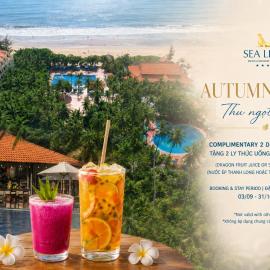 Sea Lion Beach Resort Mui Ne