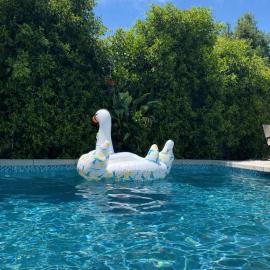 The Poppy Pool and Spa, Quiet Retreat, Big outdoor yard