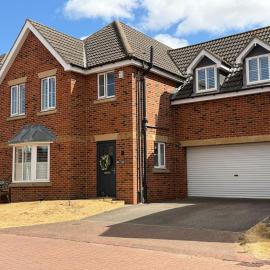 Daisy House