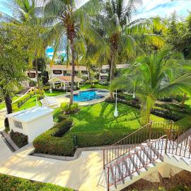 Oasis Tropical