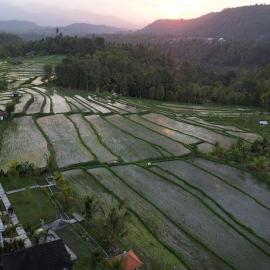 Umaku Bali Homestay