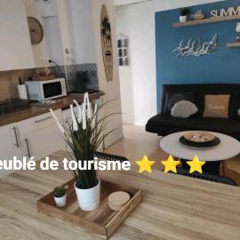 Le petit moussaillon Meublé de tourisme 3 étoiles