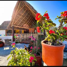 Hotel Artesanal Palomera