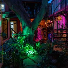 Casa del Árbol Xochimilco
