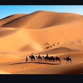 Khamlia desert afreca