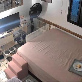 Quarto da lua