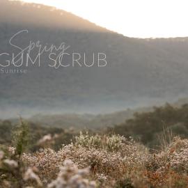 The Gum Scrub, Hotel in Glanmire