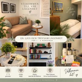 Small cozy basement apartment