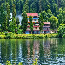 Sweet Dream Homestay, Hotel in Mirik