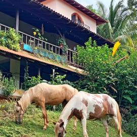 CasaBravaVentura Jungle Ecofarm