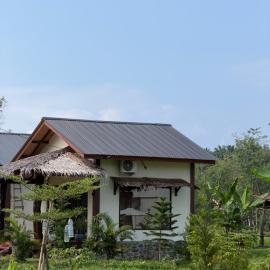 Shazzam place tour and jungle trekking