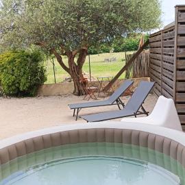 La Villa de l'Olivier avec Spa privatif