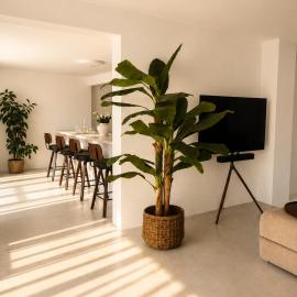 Quinta Ferreira Taunus Wellness Retreat Privat Spa