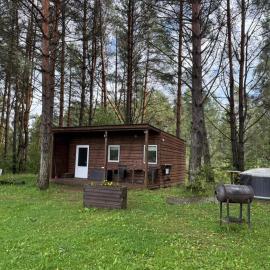 Forest cabin