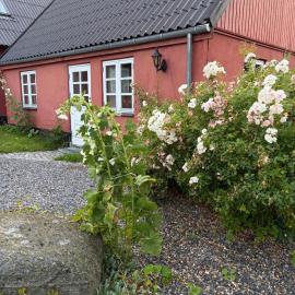 Fjordglimt - Between Fjord & Forest