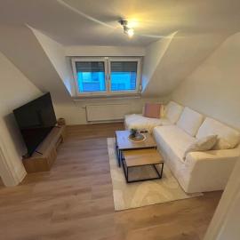 Modern apartment for 5 guests, Hotel in Völklingen