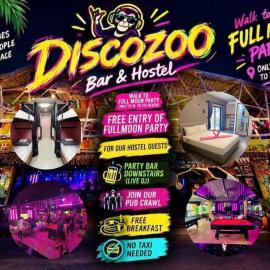DISCO ZOO Bar & Hostel