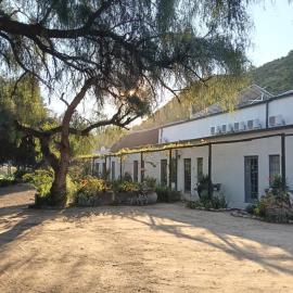 Soeterus Guest Farm