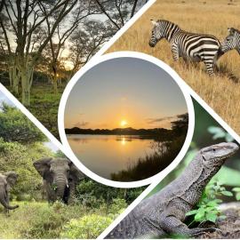 Bonamanzi Game Reserve, hotel u gradu 'Hluhluwe'