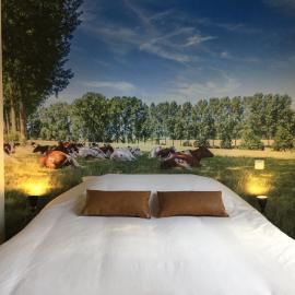 Eyndevelde, hotel a Herzele