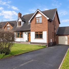 The Heights Belfast - Detached, Dog-Friendly Home with Stunning Views & Parking